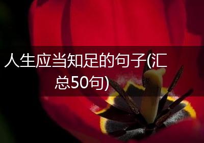 人生应当知足的句子(汇总50句)