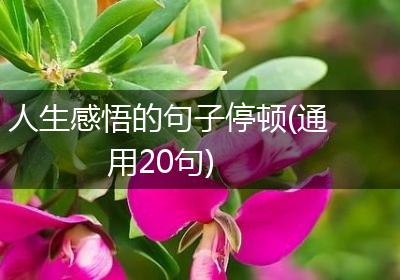 人生感悟的句子停顿(通用20句)