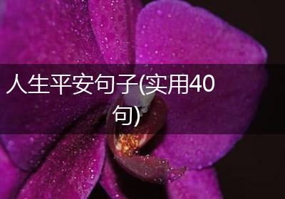 人生平安句子(实用40句)