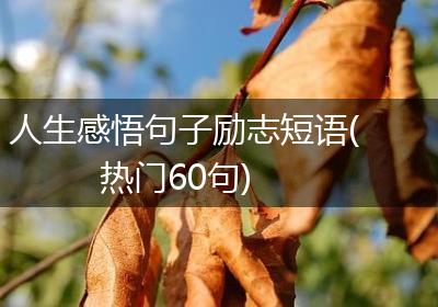 人生感悟句子励志短语(热门60句)