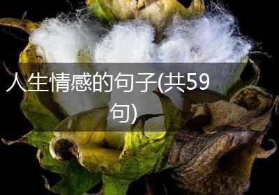 人生情感的句子(共59句)
