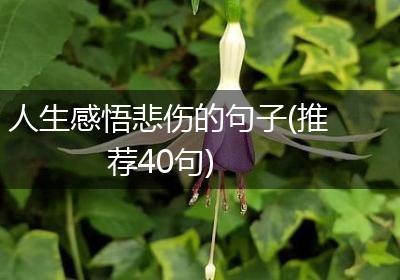 人生感悟悲伤的句子(推荐40句)