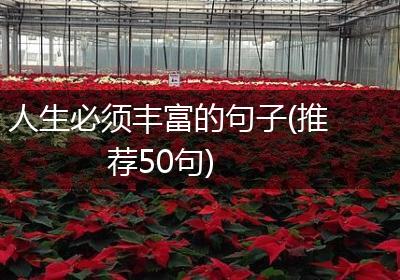 人生必须丰富的句子(推荐50句)