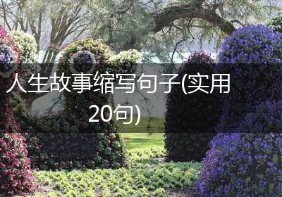 人生故事缩写句子(实用20句)