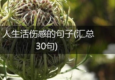 人生活伤感的句子(汇总30句)