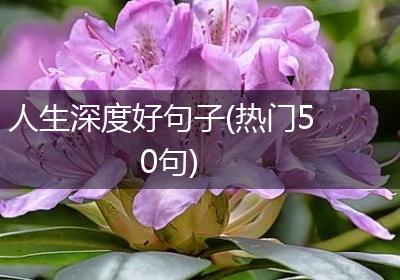 人生深度好句子(热门50句)
