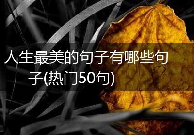 人生最美的句子有哪些句子(热门50句)