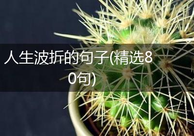 人生波折的句子(精选80句)