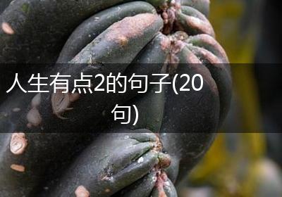人生有点2的句子(20句)