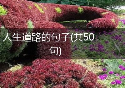 人生道路的句子(共50句)