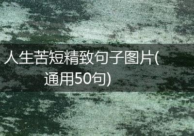 人生苦短精致句子图片(通用50句)