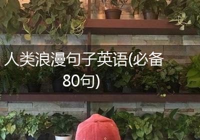 人类浪漫句子英语(必备80句)