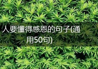 人要懂得感恩的句子(通用50句)