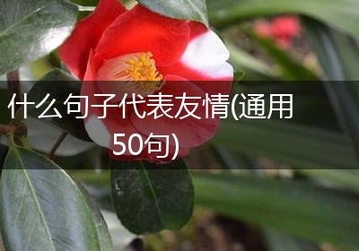 什么句子代表友情(通用50句)