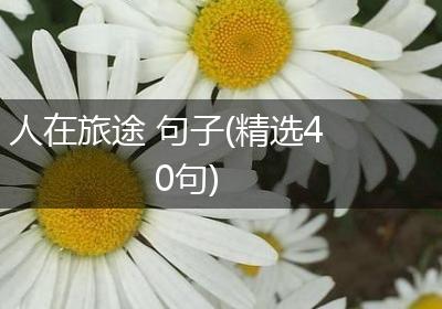 人在旅途 句子(精选40句)