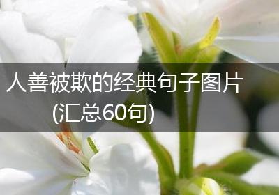 人善被欺的经典句子图片(汇总60句)