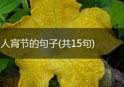 人宵节的句子(共15句)