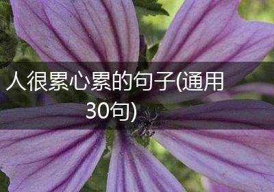 人很累心累的句子(通用30句)