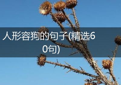 人形容狗的句子(精选60句)
