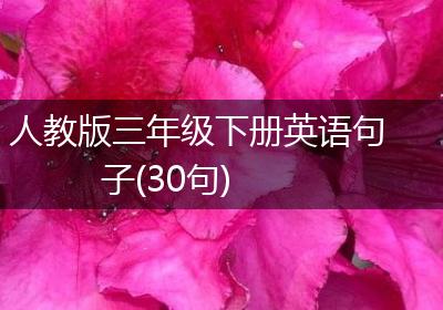 人教版三年级下册英语句子(30句)