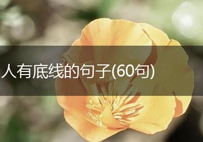 人有底线的句子(60句)