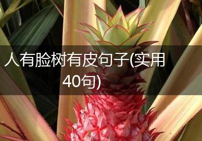 人有脸树有皮句子(实用40句)
