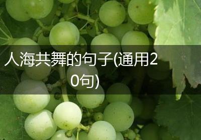 人海共舞的句子(通用20句)