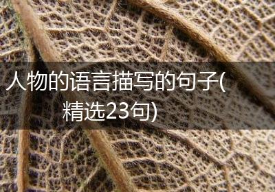 人物的语言描写的句子(精选23句)