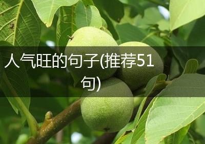 人气旺的句子(推荐51句)
