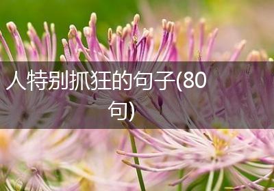人特别抓狂的句子(80句)