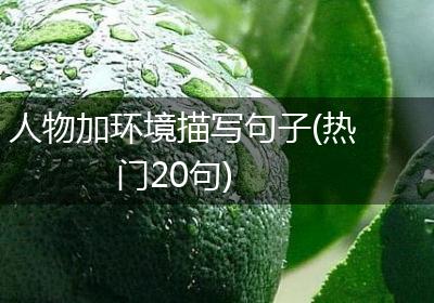 人物加环境描写句子(热门20句)