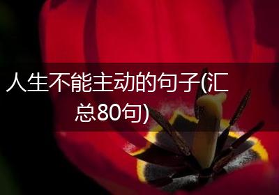 人生不能主动的句子(汇总80句)
