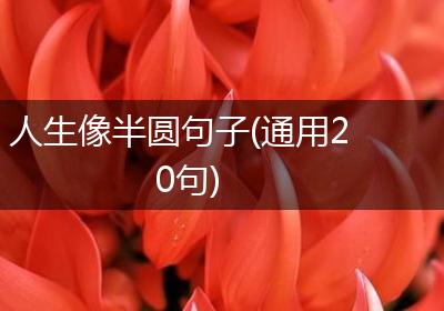 人生像半圆句子(通用20句)