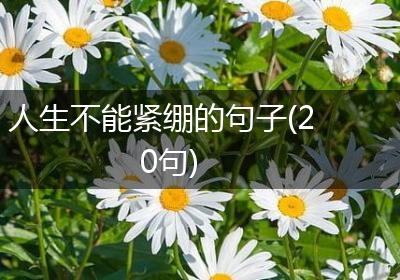 人生不能紧绷的句子(20句)
