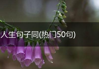 人生句子同(热门50句)
