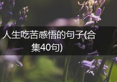 人生吃苦感悟的句子(合集40句)
