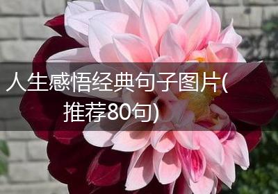 人生感悟经典句子图片(推荐80句)