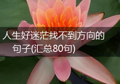 人生好迷茫找不到方向的句子(汇总80句)