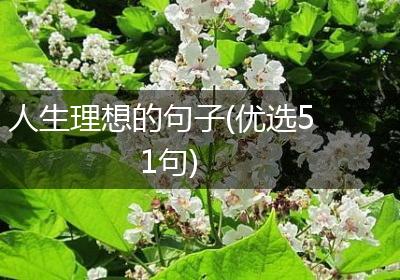 人生理想的句子(优选51句)