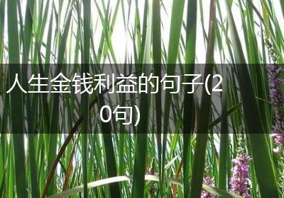人生金钱利益的句子(20句)