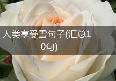 人类享受雪句子(汇总10句)