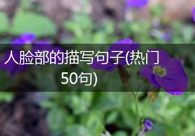 人脸部的描写句子(热门50句)