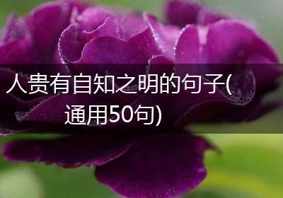 人贵有自知之明的句子(通用50句)