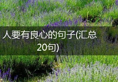 人要有良心的句子(汇总20句)