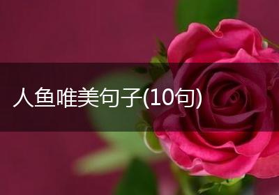 人鱼唯美句子(10句)