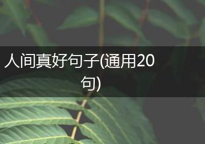 人间真好句子(通用20句)