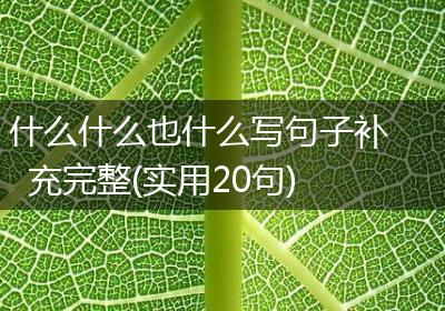 什么什么也什么写句子补充完整(实用20句)