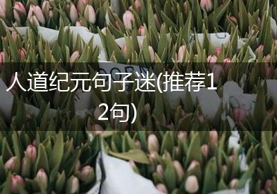 人道纪元句子迷(推荐12句)