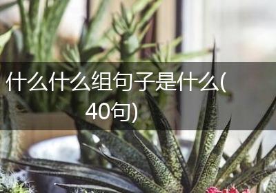 什么什么组句子是什么(40句)