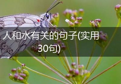 人和水有关的句子(实用30句)